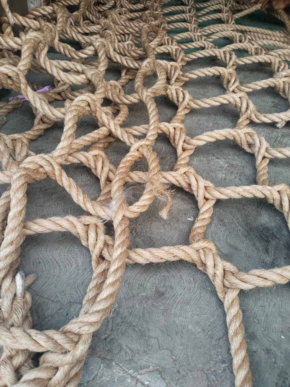 Detail Jaring Manila Gurita