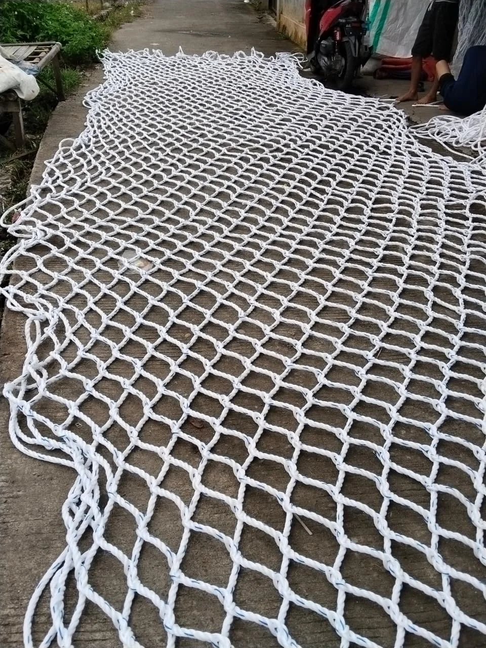 Detail Jaring PP Monofilament